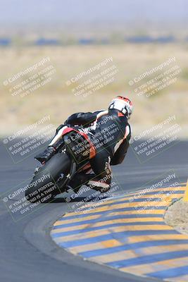 media/May-13-2023-SoCal Trackdays (Sat) [[8a473a8fd1]]/Turn 11 Backside (945am)/